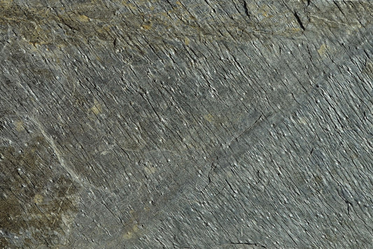 WL05 Gold Green 60x30x1,2cm